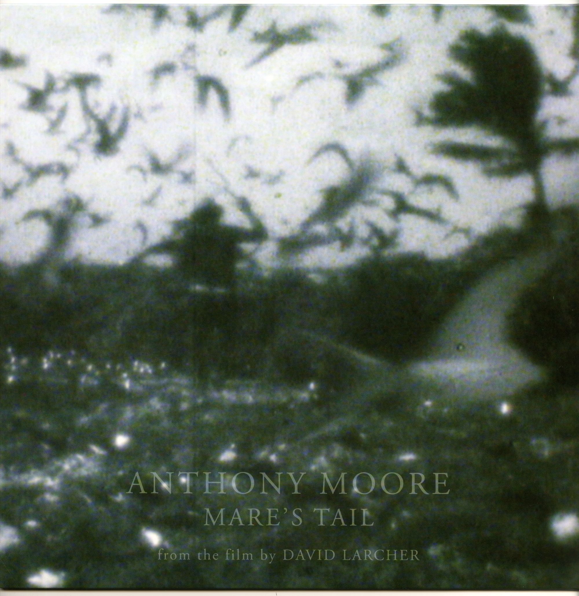 Anthony Moore『Mare's Tail』 01